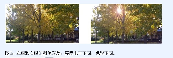 左眼和右眼的圖像誤差：亮度電平不同，色彩不同