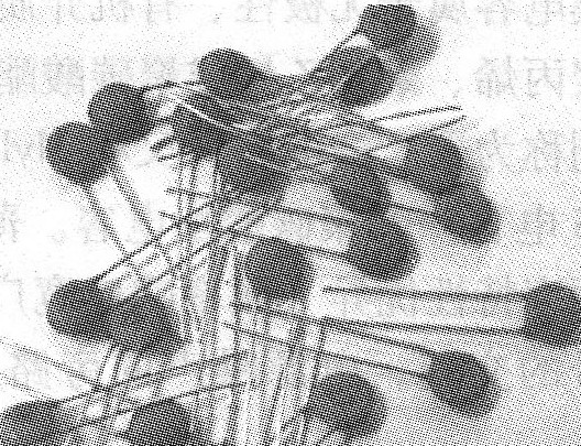 常見磁介電容外形