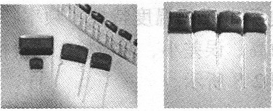 （a） 常見聚乙酯電容外形